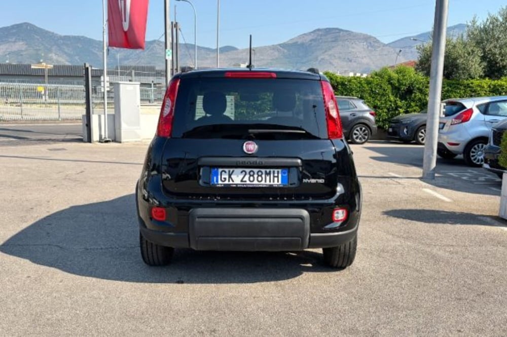 Fiat Panda usata a Latina (6)