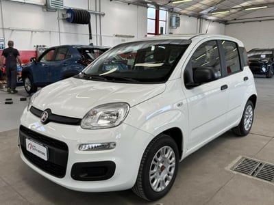 Fiat Panda 1.2 Easy del 2018 usata a Monza