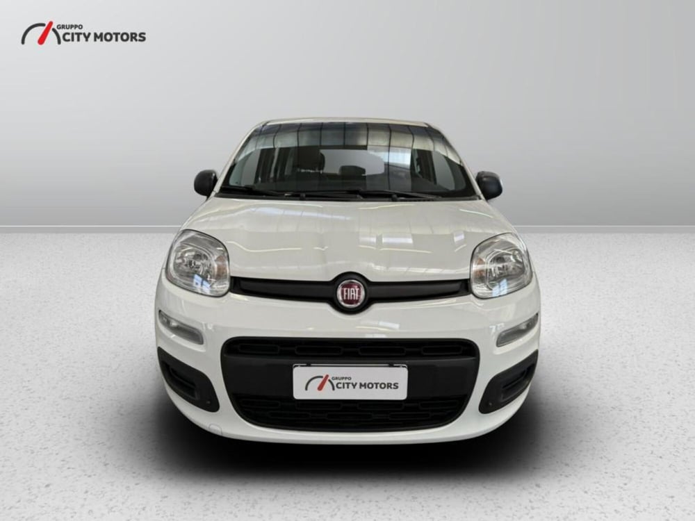 Fiat Panda usata a Monza e Brianza (2)