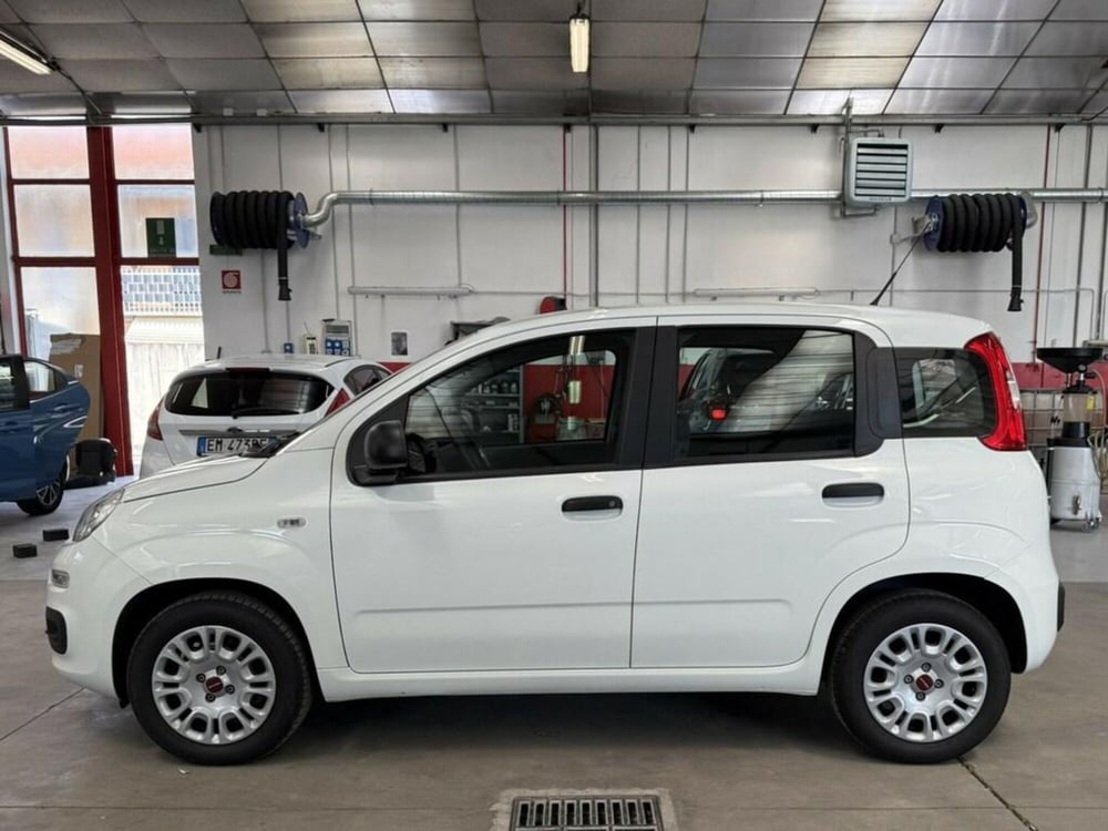 Fiat Panda usata a Monza e Brianza (3)
