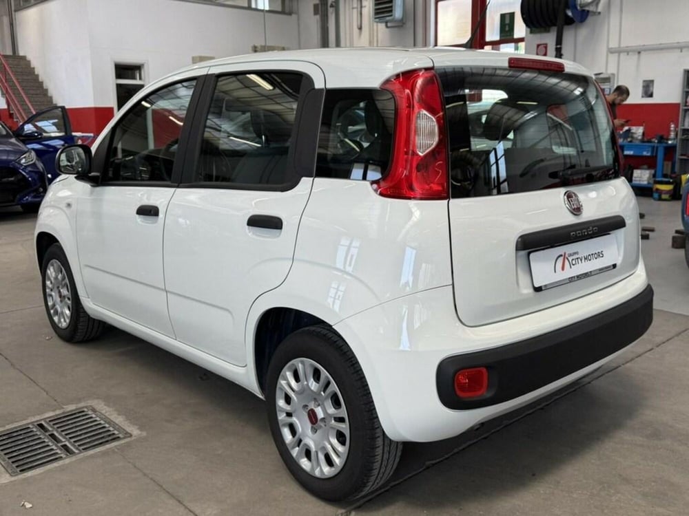 Fiat Panda usata a Monza e Brianza (4)