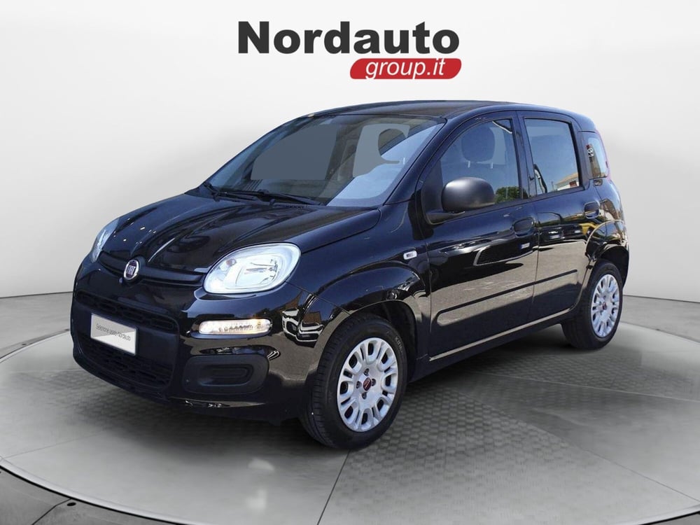 Fiat Panda usata a Treviso