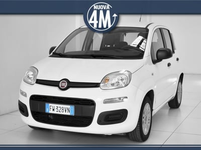 Fiat Panda 1.2 Easy del 2019 usata a Prato
