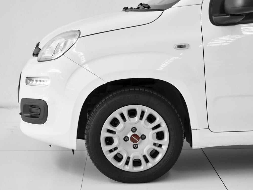 Fiat Panda usata a Prato (4)