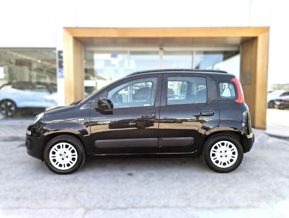 Fiat Panda usata a Pescara (4)