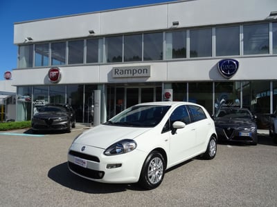 Fiat Punto 1.3 MJT II 75 CV 5 porte Lounge del 2014 usata a San Dona&#039; Di Piave
