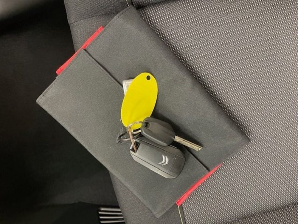 Citroen C3 usata a Alessandria (19)