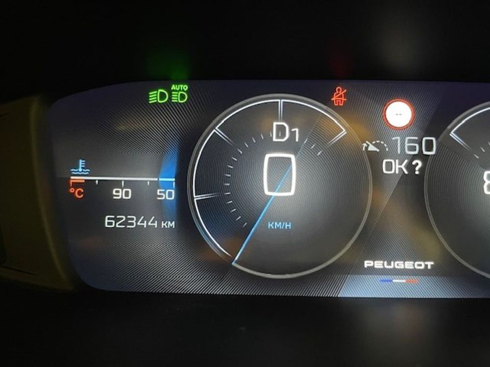 Peugeot 308 SW usata a Alessandria (13)