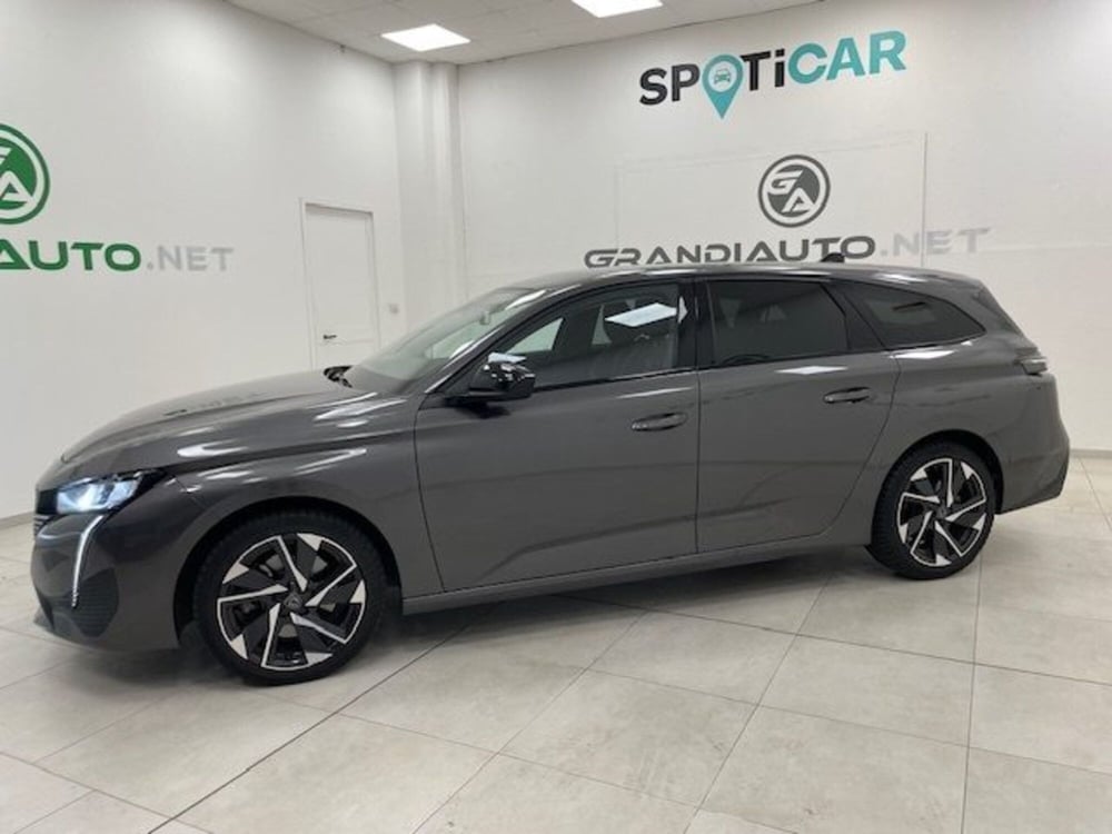 Peugeot 308 SW usata a Alessandria (2)