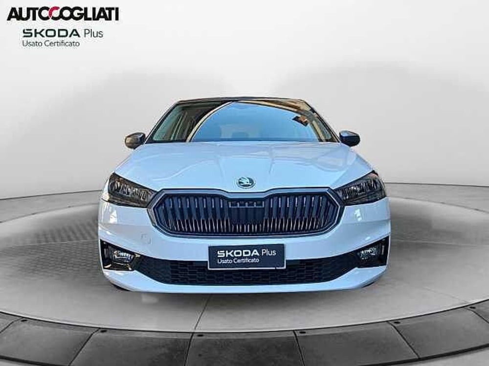 Skoda Fabia usata a Lecco (2)