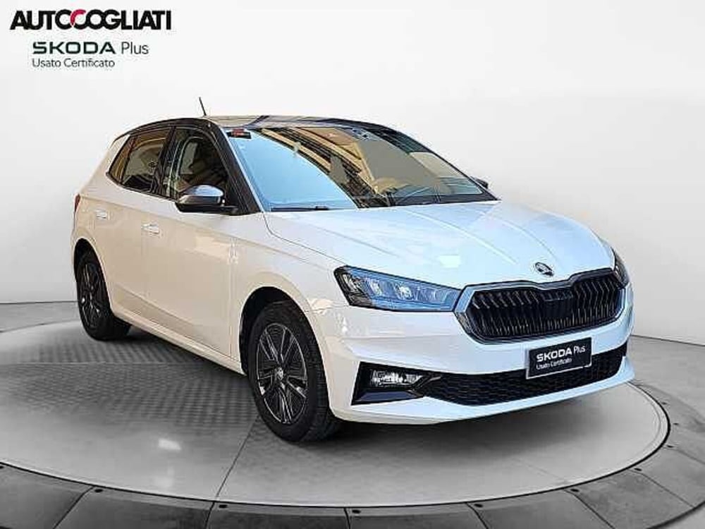 Skoda Fabia usata a Lecco (3)