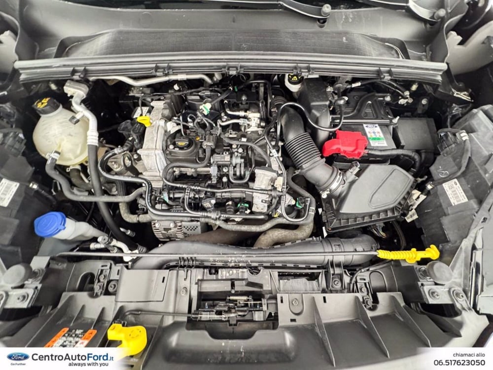 Ford Puma usata a Roma (12)