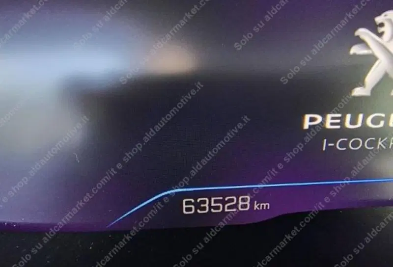 Peugeot 3008 usata a Lecce (6)