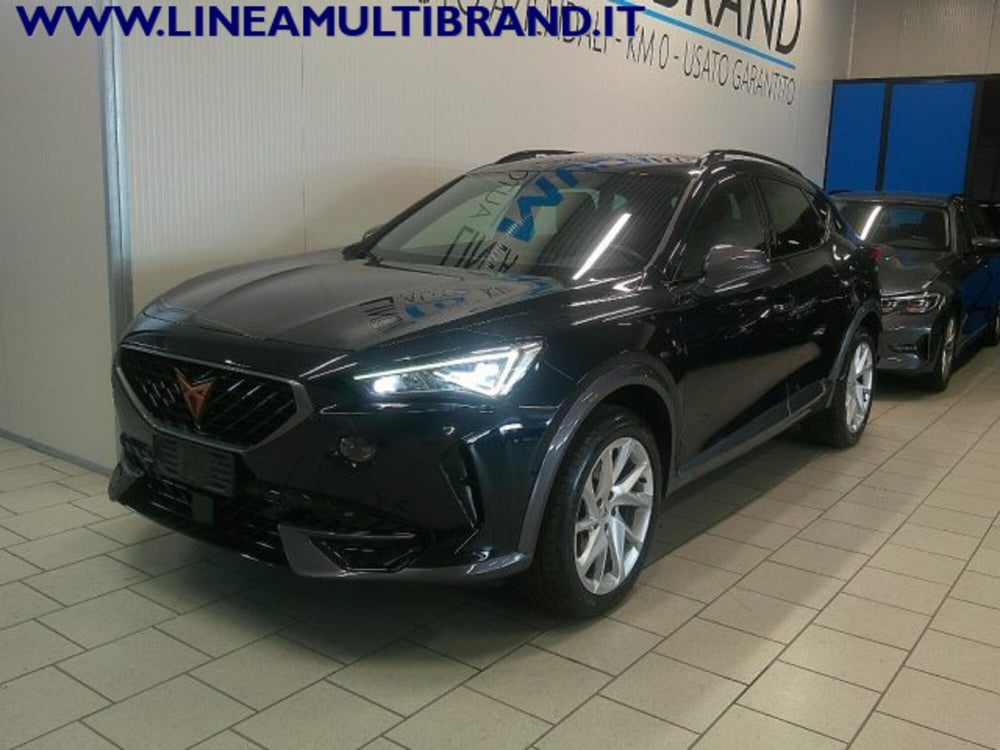 Cupra Formentor usata a Piacenza (18)