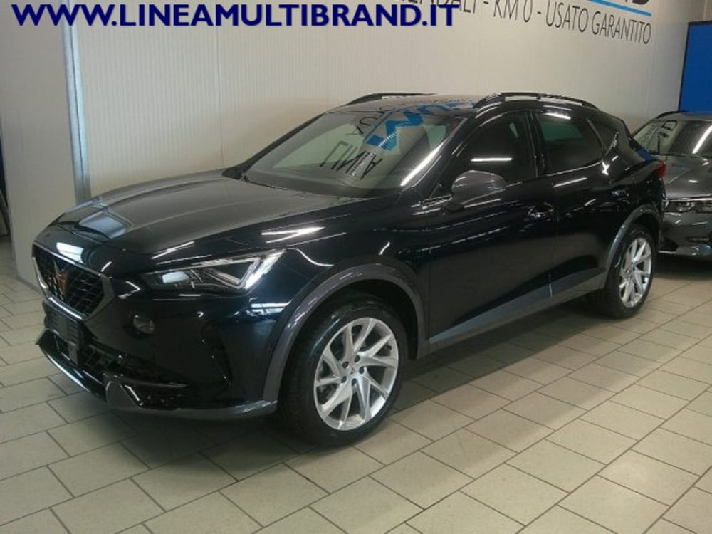 Cupra Formentor usata a Piacenza (8)