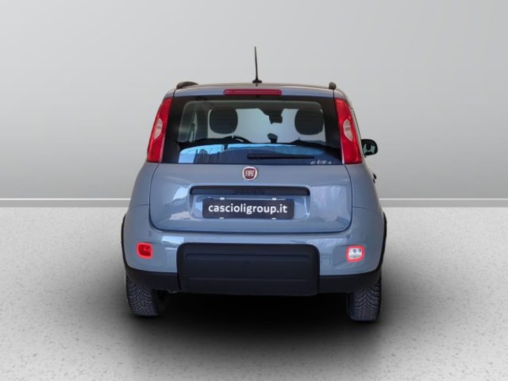 Fiat Panda usata a Teramo (4)