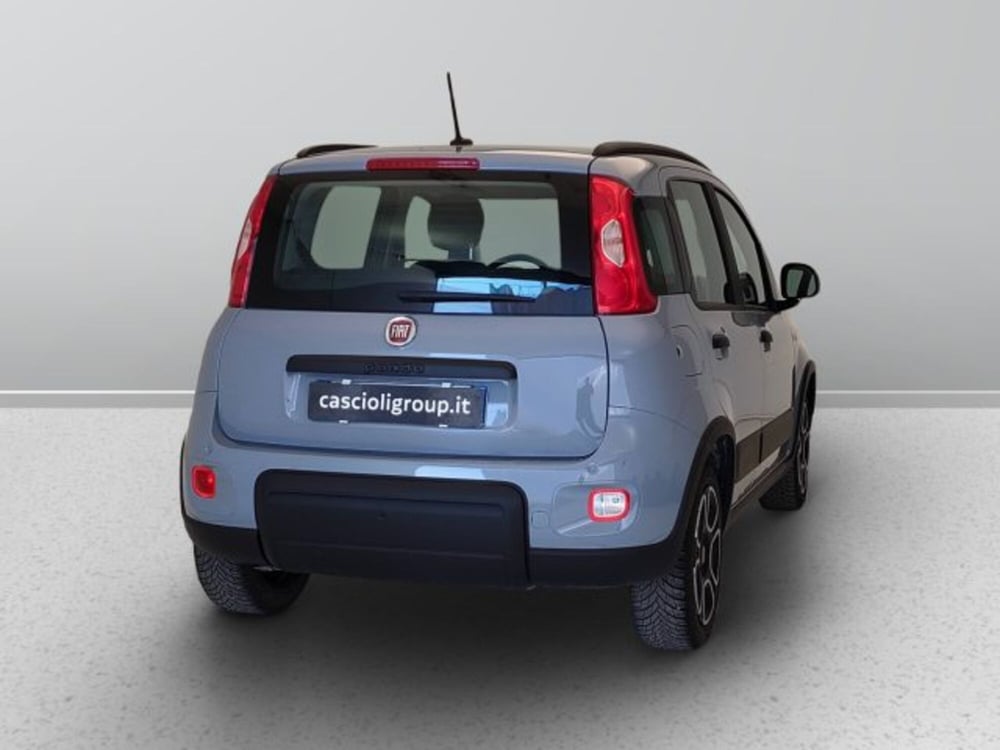 Fiat Panda usata a Teramo (6)