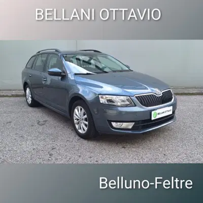 Skoda Octavia Station Wagon 1.4 TSI Wagon Executive G-Tec del 2016 usata a Feltre