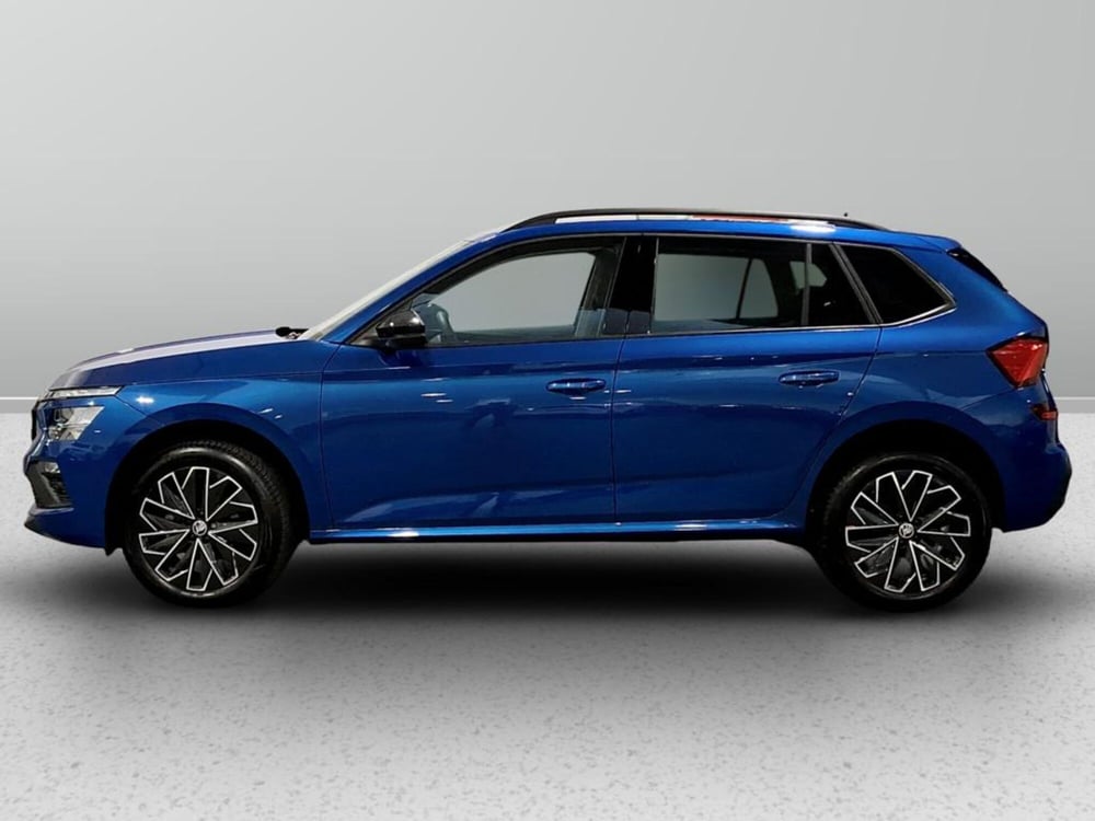 Skoda Kamiq usata a Padova (2)