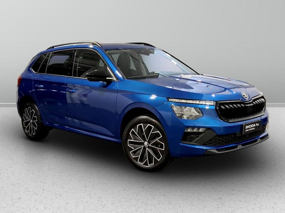 Skoda Kamiq usata a Padova (4)