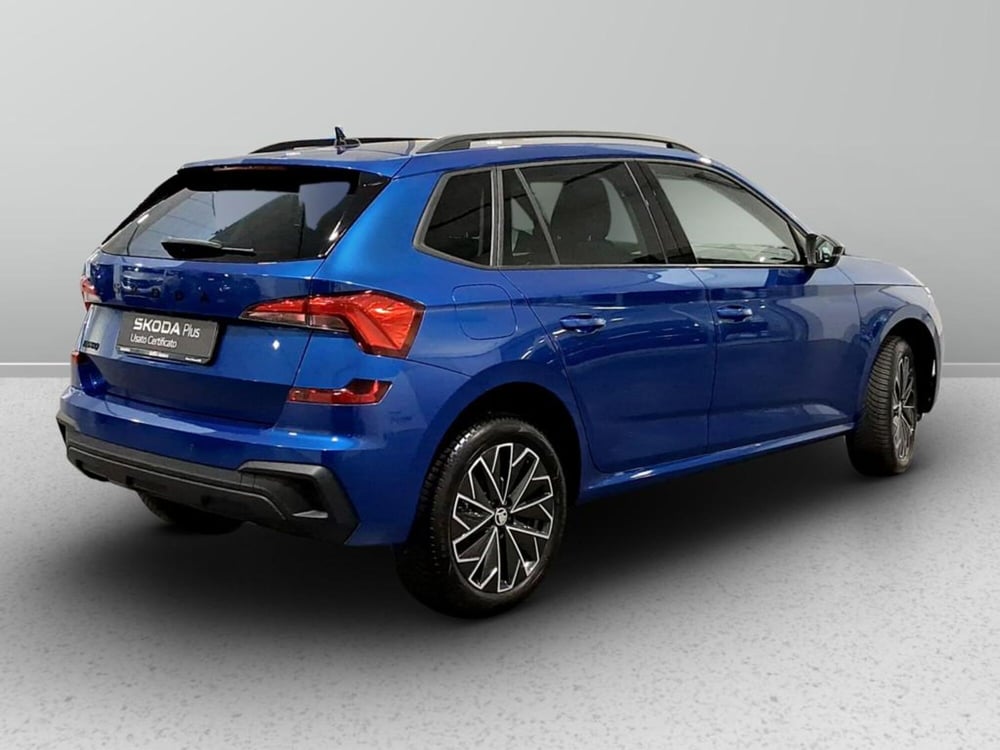 Skoda Kamiq usata a Padova (6)