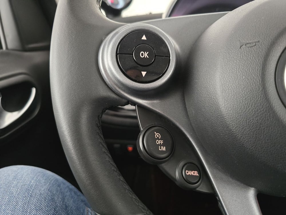 smart forfour usata a Roma (19)