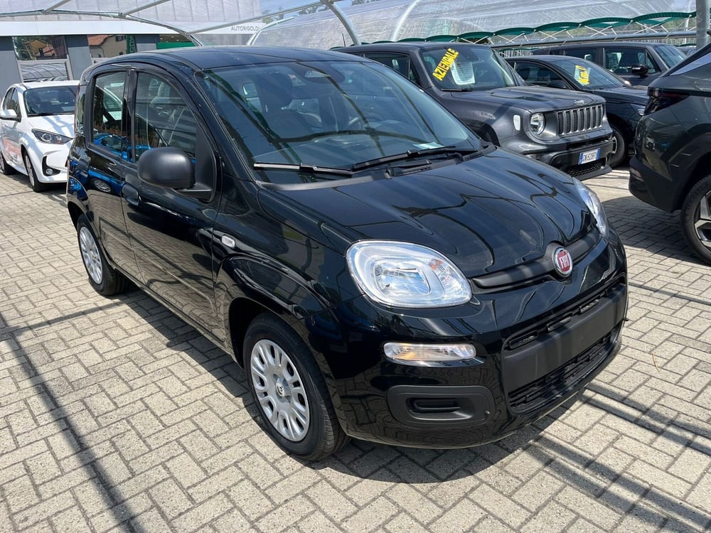 Fiat Panda Cross nuova a Milano (2)