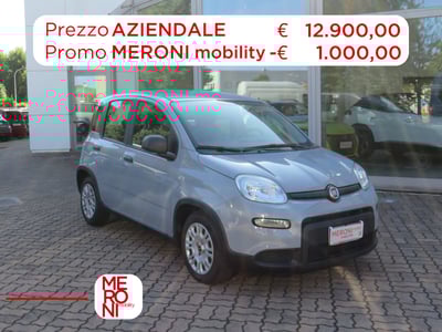 Fiat Panda Cross Cross 1.0 FireFly S&amp;S Hybrid del 2022 usata a Seregno