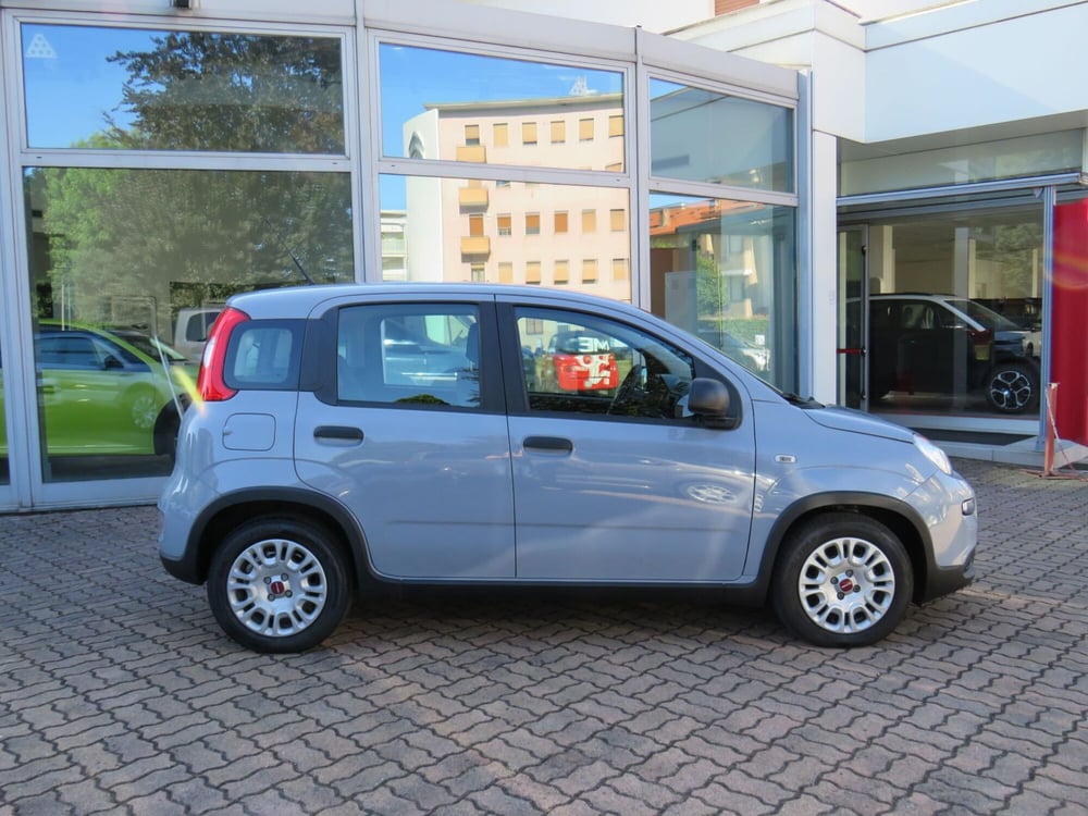 Fiat Panda Cross usata a Monza e Brianza (2)