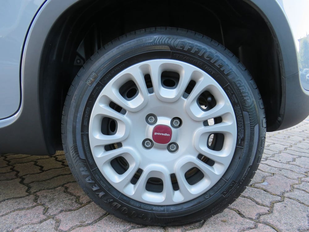 Fiat Panda Cross usata a Monza e Brianza (20)