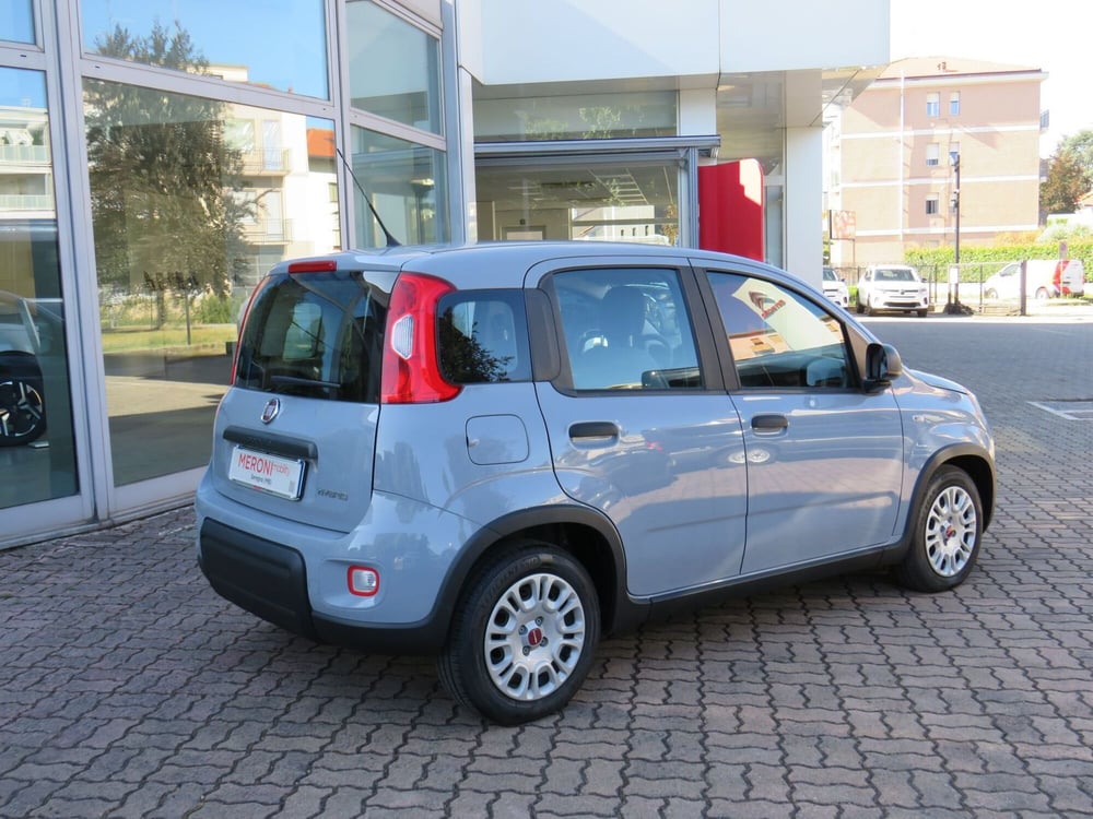 Fiat Panda Cross usata a Monza e Brianza (4)