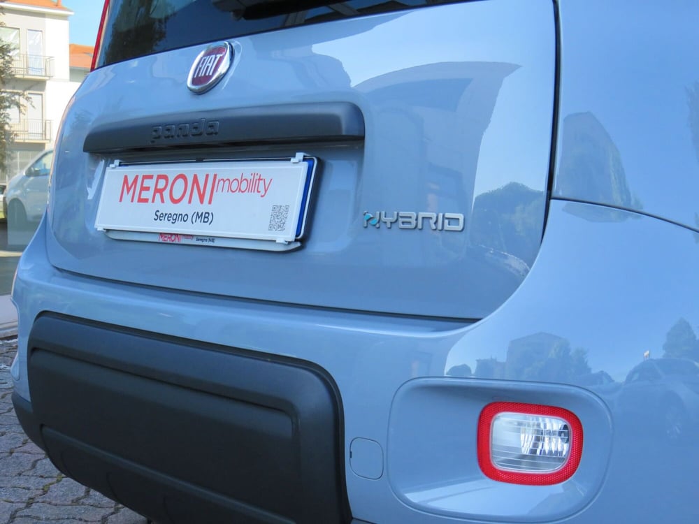 Fiat Panda Cross usata a Monza e Brianza (5)