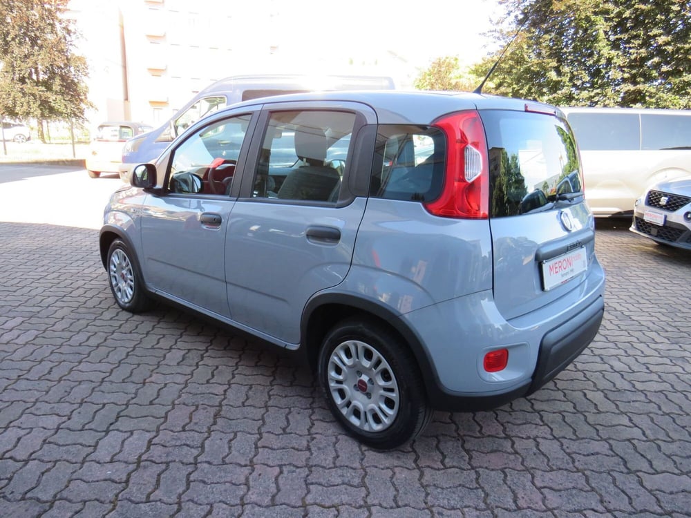 Fiat Panda Cross usata a Monza e Brianza (6)