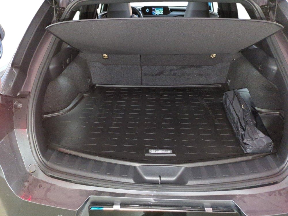 Lexus UX usata a Milano (10)