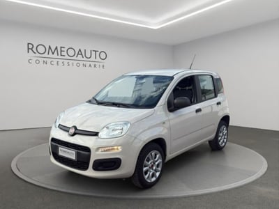 Fiat Panda 0.9 TwinAir Turbo Natural Power Pop del 2016 usata a Gubbio