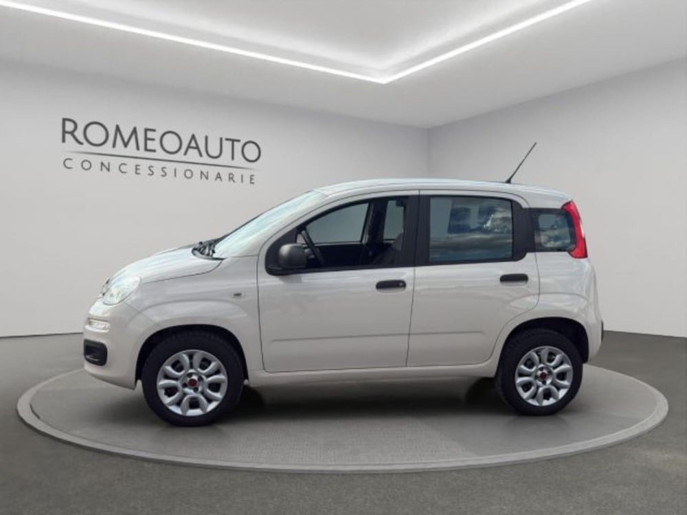 Fiat Panda usata a Perugia (3)