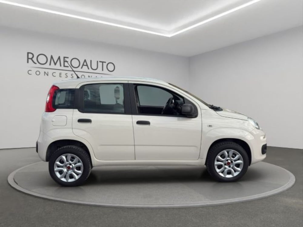 Fiat Panda usata a Perugia (7)