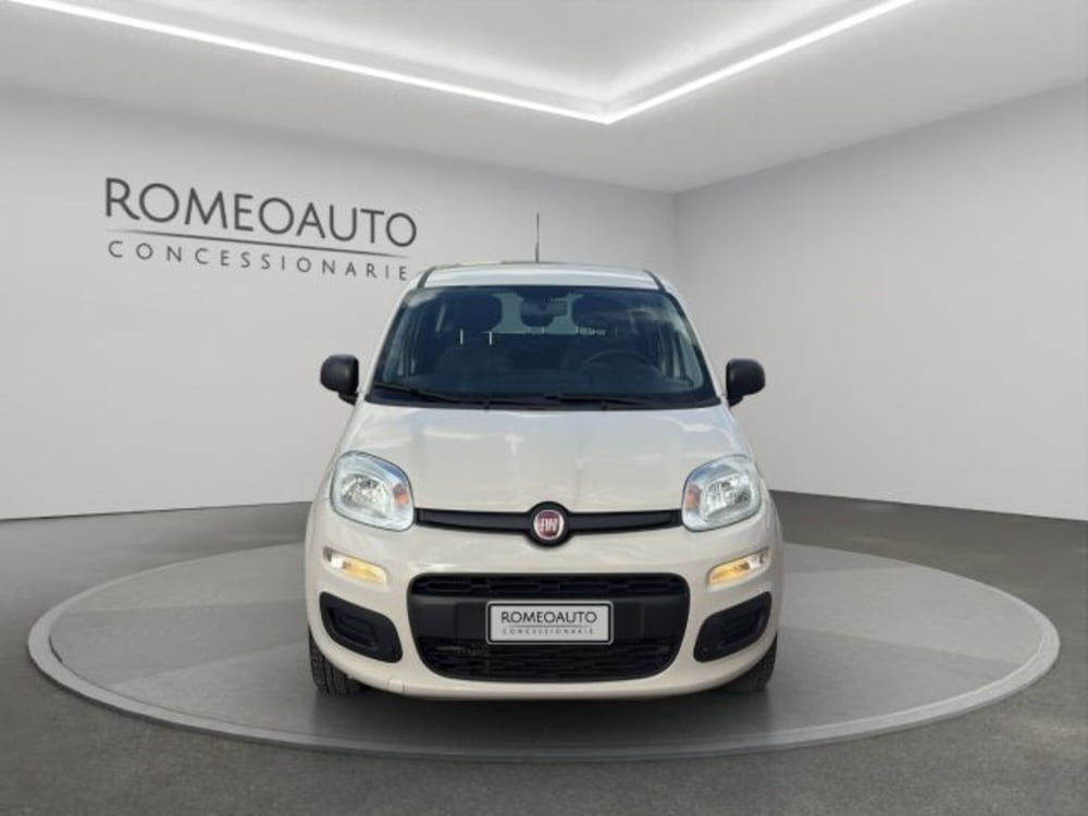 Fiat Panda usata a Perugia (9)