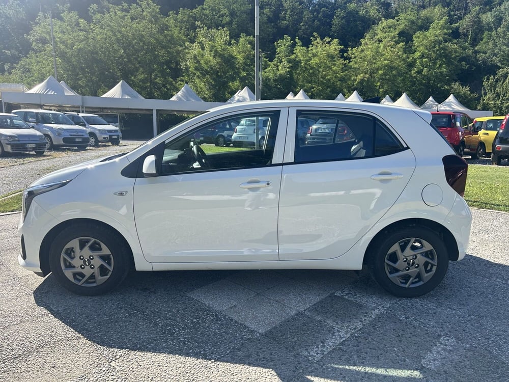 Kia Picanto usata a La Spezia (4)