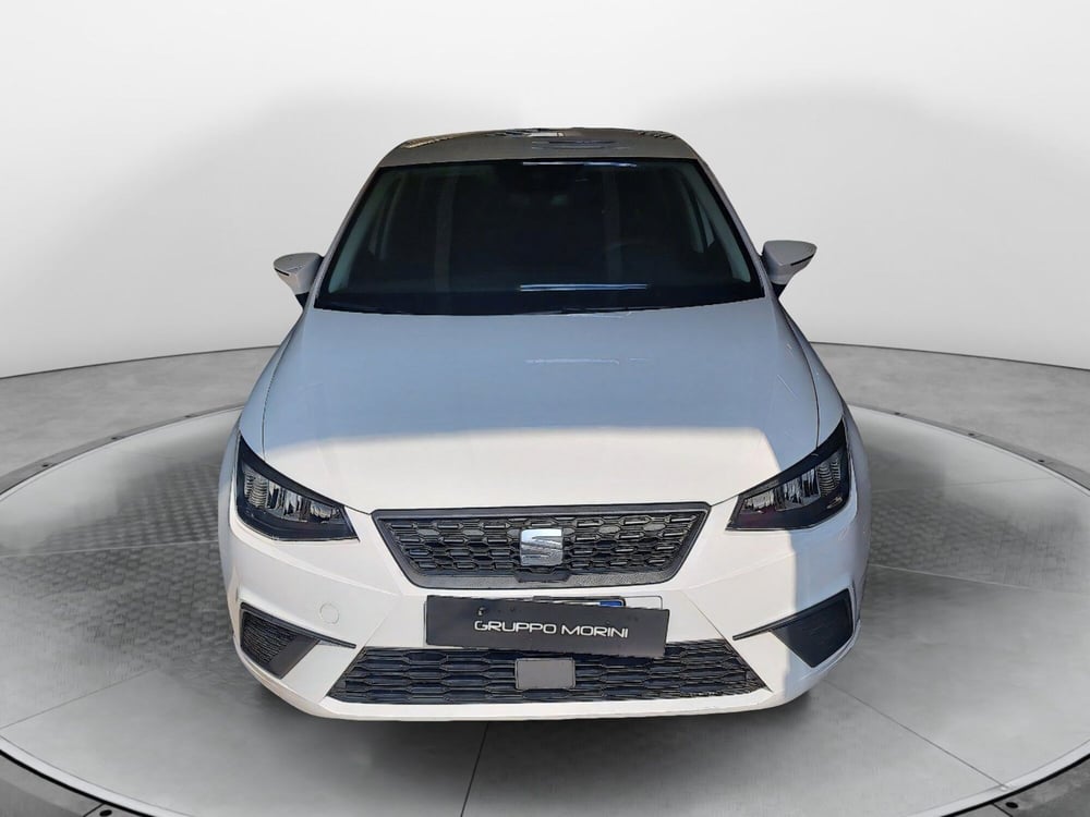 SEAT Ibiza usata a Bologna (2)