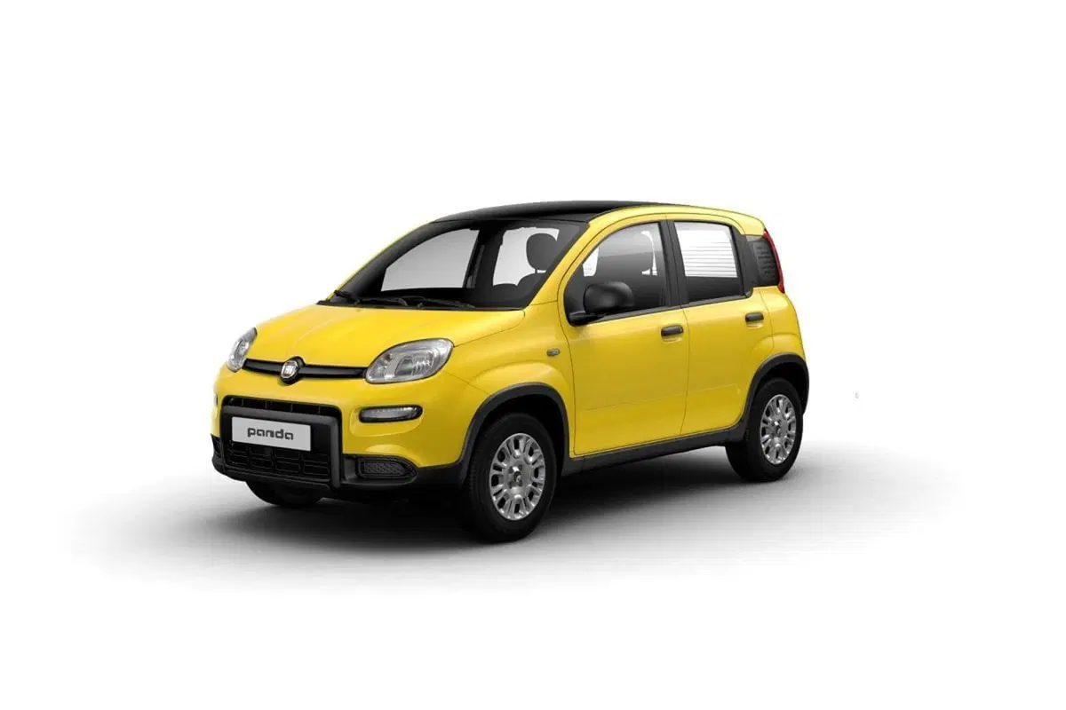 Fiat Panda nuova a Firenze (2)