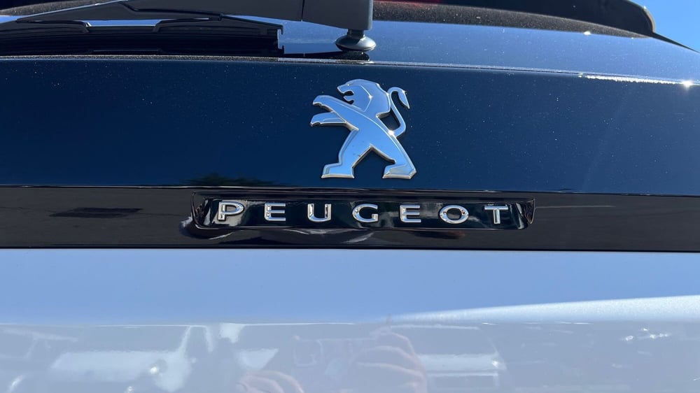 Peugeot 3008 usata a Parma (13)