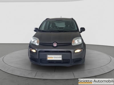 Fiat Panda 1.0 firefly hybrid s&amp;s 70cv 5p.ti del 2022 usata a Messina