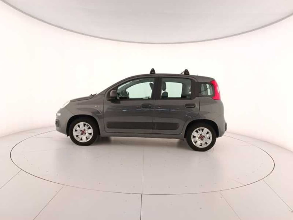 Fiat Panda usata a Treviso (8)