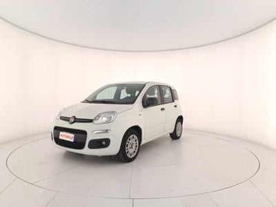 Fiat Panda 1.2 Easy Van 4 posti del 2019 usata a Treviso