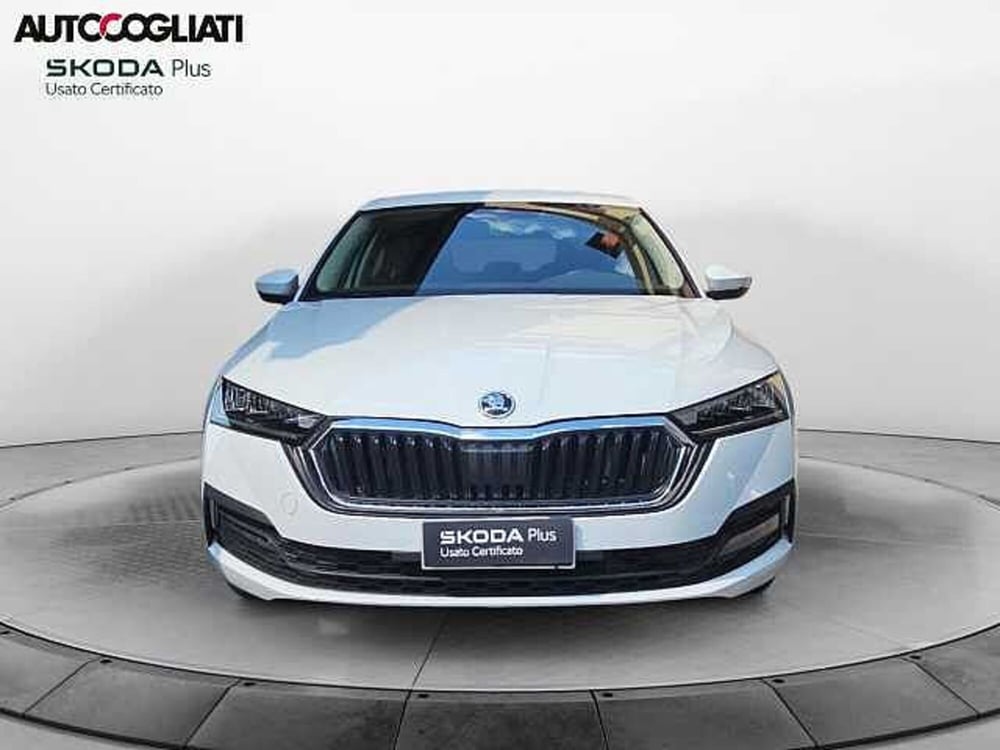 Skoda Octavia usata a Lecco (2)