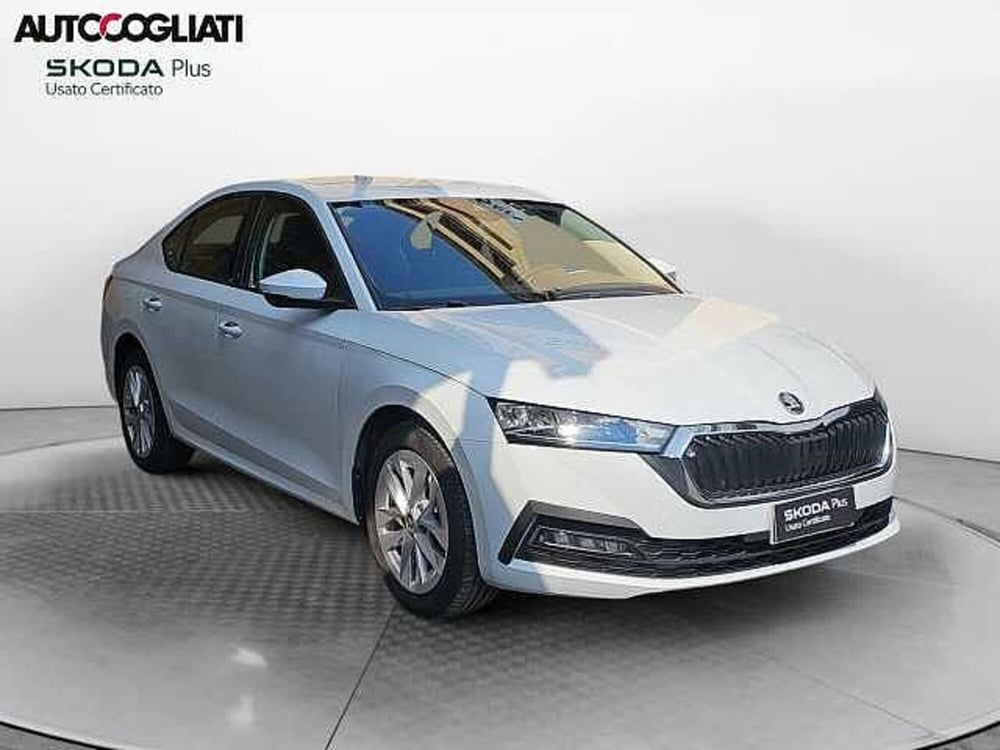 Skoda Octavia usata a Lecco (3)