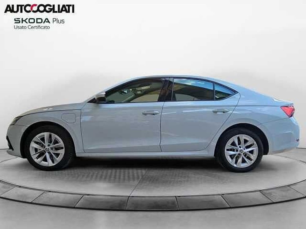 Skoda Octavia usata a Lecco (8)