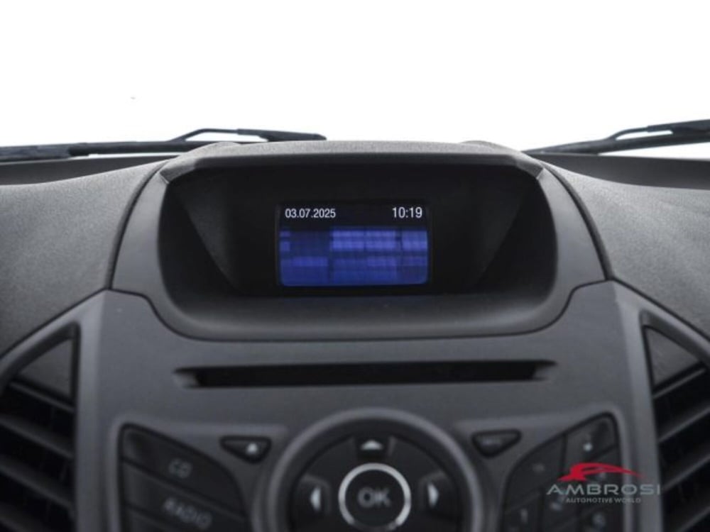 Ford EcoSport usata a Perugia (14)