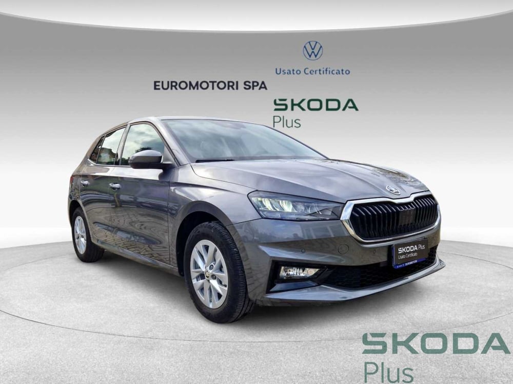 Skoda Fabia usata a Siena (6)